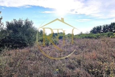 Teren de vânzare – 11.273 mp – zona Plopi, Timișoara Sud. - 4