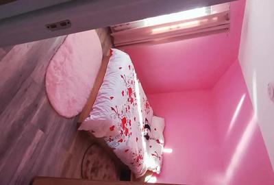 Casă cu Teren 502 Mp în Narciselor - 10