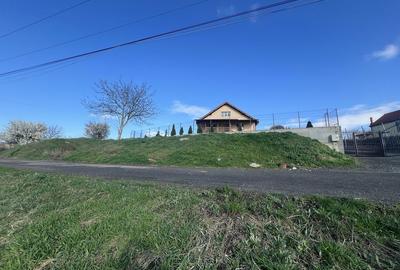 Spațiu comercial, în Lazaret - 3