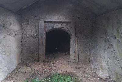 Parava, sat Dragusani, teren 4800mp, la asfalt - 19