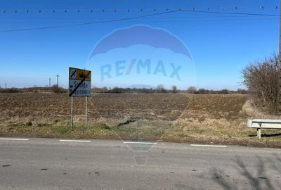 Teren Intravilan 11502mp. strada Sarcadului.