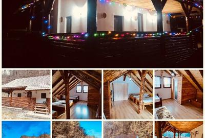 Cabana rustica la munte - 3