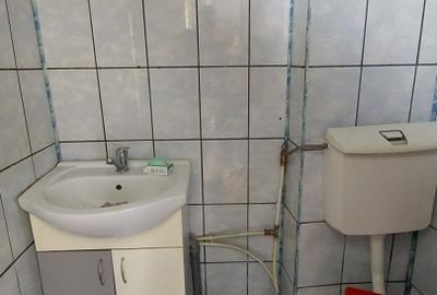 Apartament la casa si curte zona Centrala - 10