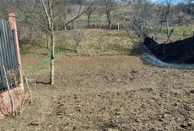 Casă în Ormeniș - 2