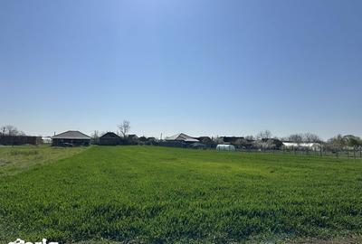 Teren de 3900 mp, în Gepiu - 4