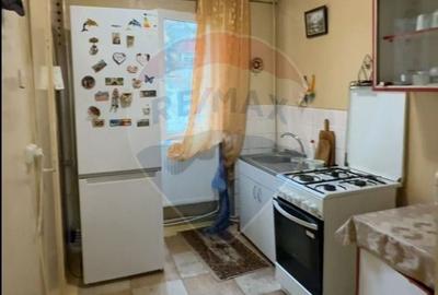 Apartament cu 2 camere nedecomandat, mobilat în Exterior Vest - 3
