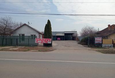 Teren de 2200 mp, în Lipia - 1