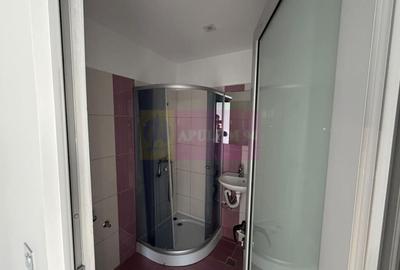 Proprietate specială, de 800 mp, în Theodor Pallady - 40