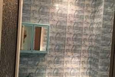 Apartament cu 3 camere semidecomandat în Tineretului - 3