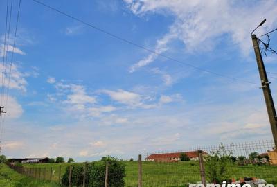 Domeniu, 9,5 ha, 25 KM de Timisoara - 10