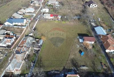 Teren de 3700 mp, în Satu Nou (Panciu) - 2