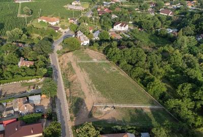 Teren de 3300 mp, în Vernești - 5