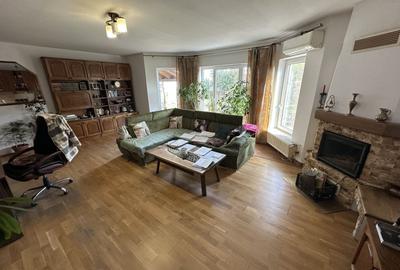 Casa P+ M in spate la Ikea - 9