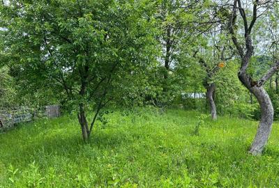 Teren de 4200 mp, în Ocina de Sus - 11