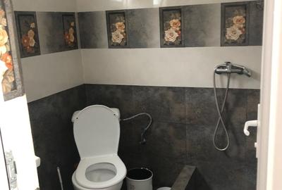 Exclusivitate! Pensiune P+1 - 12 camere - 300.000 euro (Cod E2) - 17