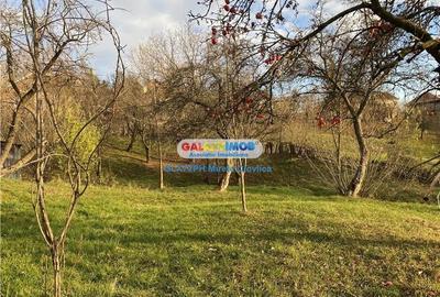 Vanzare teren cu casa batraneasca Secaria Prahova - 5
