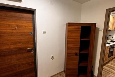 Apartament cu 2 camere semidecomandat, mobilat în Brazda lui Novac - 11
