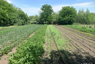 Casă cu 5 camere în Zboiu - 4