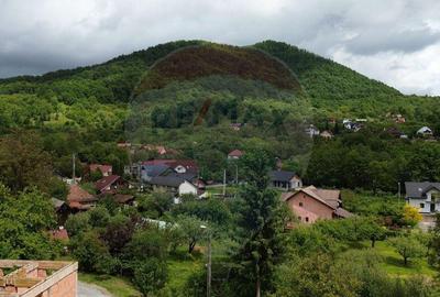 Valea Borcutului,Teren intravilan de vanzare, intre case! - 2