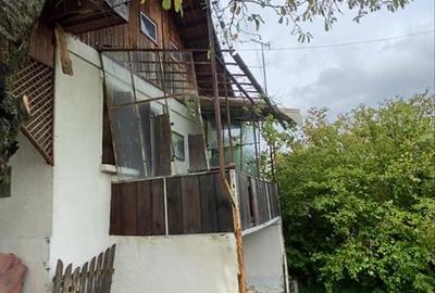 Casă cu 3 camere în Criș - 6