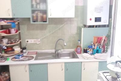 Casă cu 2 camere în Timocului-Șaguna - 4