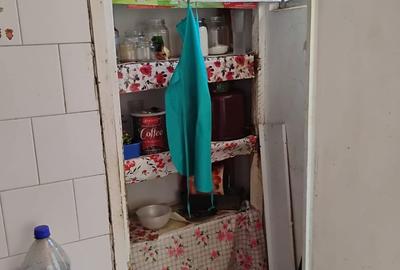 Apartament cu 2 camere semidecomandat în Iosefin - 10