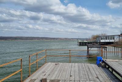 Teren de 1000 mp, în Vrancea - 7