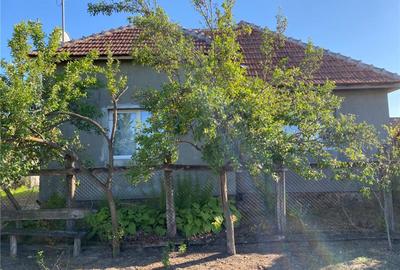 Casă cu 3 camere cu Teren 1709 Mp în Scărișoara Nouă - 3