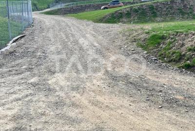 Teren 1059 mp in Raul Sadului– Natura  liniste si investitie - 4