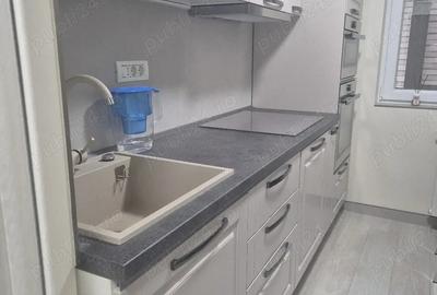 Inchiriere ap 2 camere Gorjului - 5