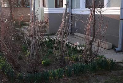 Vand casa jud.Olt - 8