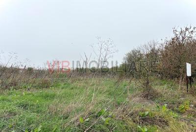 Baneasa – Petre Aurelian, teren 1058 mp - 3