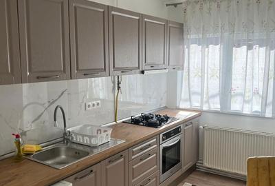 Apartament cu 2 camere în Lazu Baciului - 5