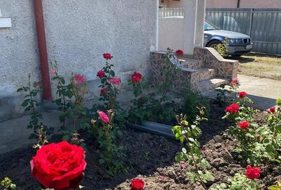 Casă cu 3 camere în Central - 1