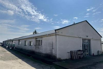 Hala de vanzare, 1500 mp, teren 7157 mp, H - 7 metri, zona Metro-Bras - 4