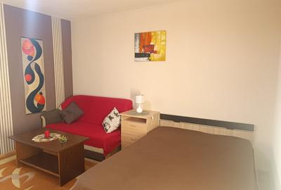 Garsonieră semidecomandată, mobilată în Dristor - 14