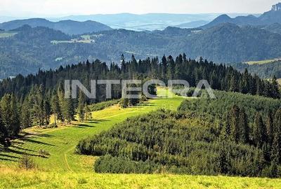 Teren Cu FANTANA si CURENT | PUZ si Certificat Urbanism | Marisel - 7