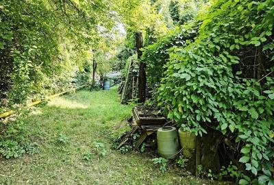 Casa individuala S+P+M cu teren 1723 mp, zona linistita, in Grigorescu - 9