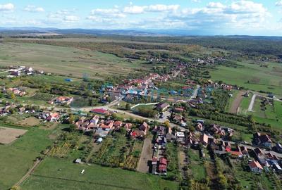 Casă individuală cu 2 camere cu Canalizare în Betfia - 13