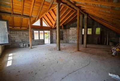 FILM! Casa singura in curte, recomandat investitional/ rezidential, Centru Istor - 2