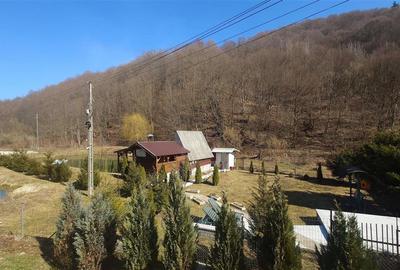Iaz de vanzare in Apuseni- cazare, agrement si pescuit la DN74 - 2