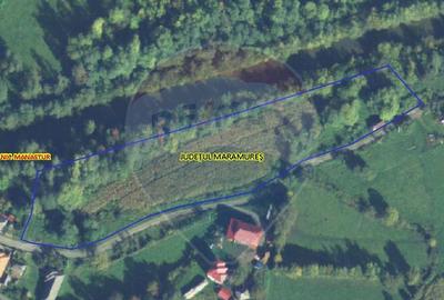 Teren 9,200mp Copalnic pe langa raul Cavnic - 4