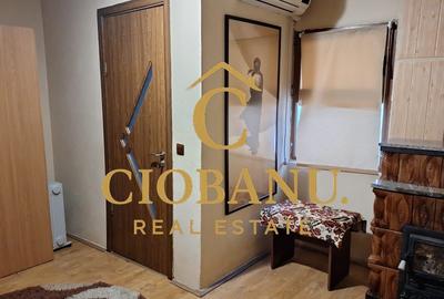 Casa de vanzare in Craiova zona Romanesti - 13