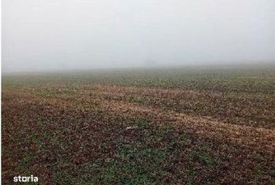 Teren de 18318 mp, în Ștefan cel Mare - 1