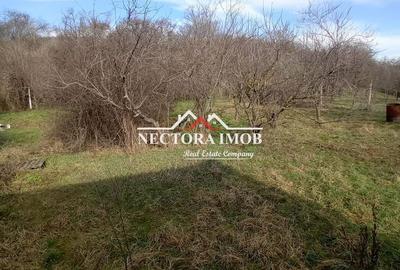 Spațiu comercial, în Central