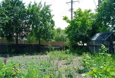 Casa batraneasca la tara - 5