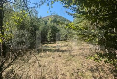 Teren în Central - 4