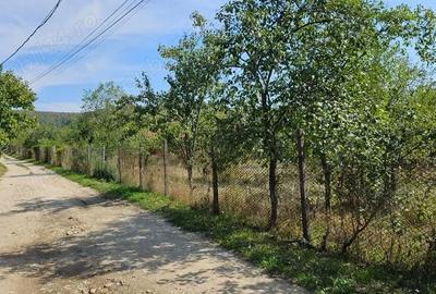 Teren de 2700 mp, în Bogați - 1