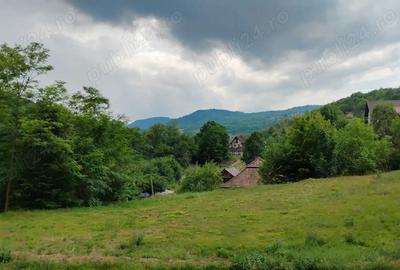 Casă cu Teren 3765 Mp în Mănăstire - 1