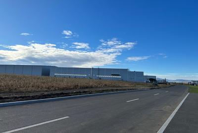 Teren Construcții intravilan de 18900 mp, în Industrial Vest - 4